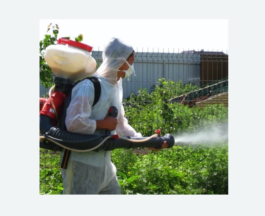 Акарицидная обработка территории в Вологде