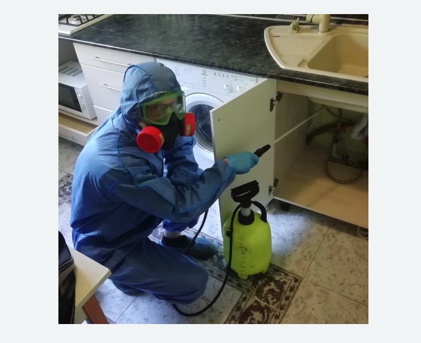 обработка от муравьев в квартире в Вологде