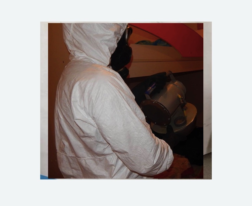 Дезинфекция от муравьев в Вологде